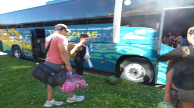 Sustentabilidad y compañerismo fueron los ejes del Campamento de Verano 2016