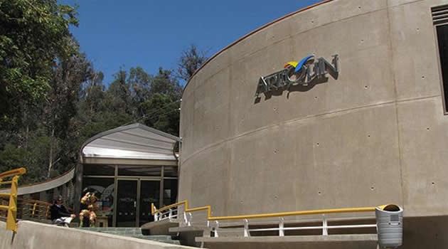 Un excelente panorama veraniego para grandes y chicos 