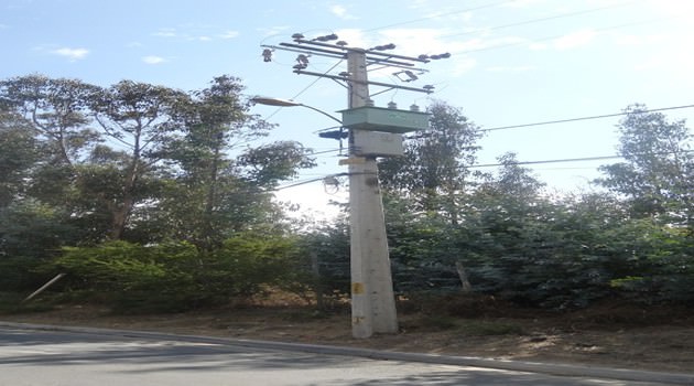 Eficiencia y Ecología: Un nuevo concepto en Transformadores de Distribución