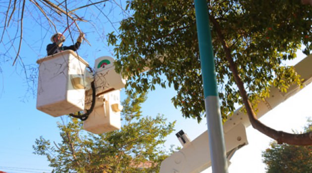 Lanzamos Campaña de Invierno junto a ONEMI