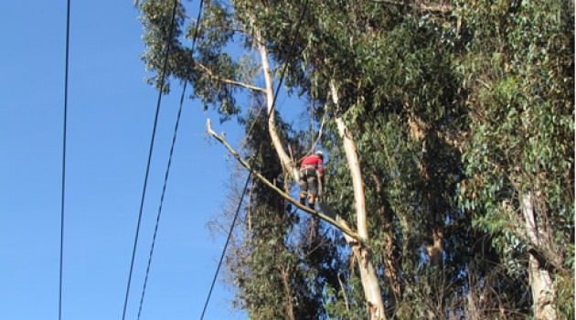 Comprometidos con un mejor servicio