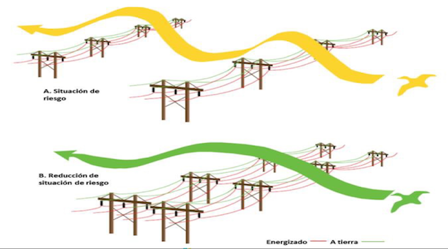Hoy se realizará la Charla Avifauna