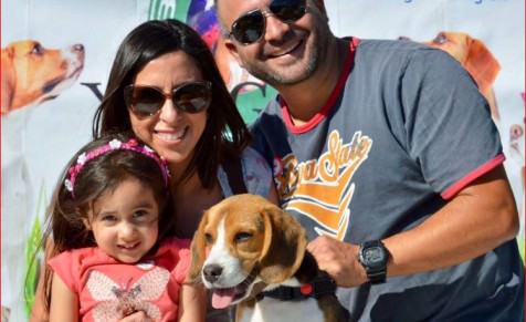 Dale energía a tu verano (SUBE TU SELFIE)